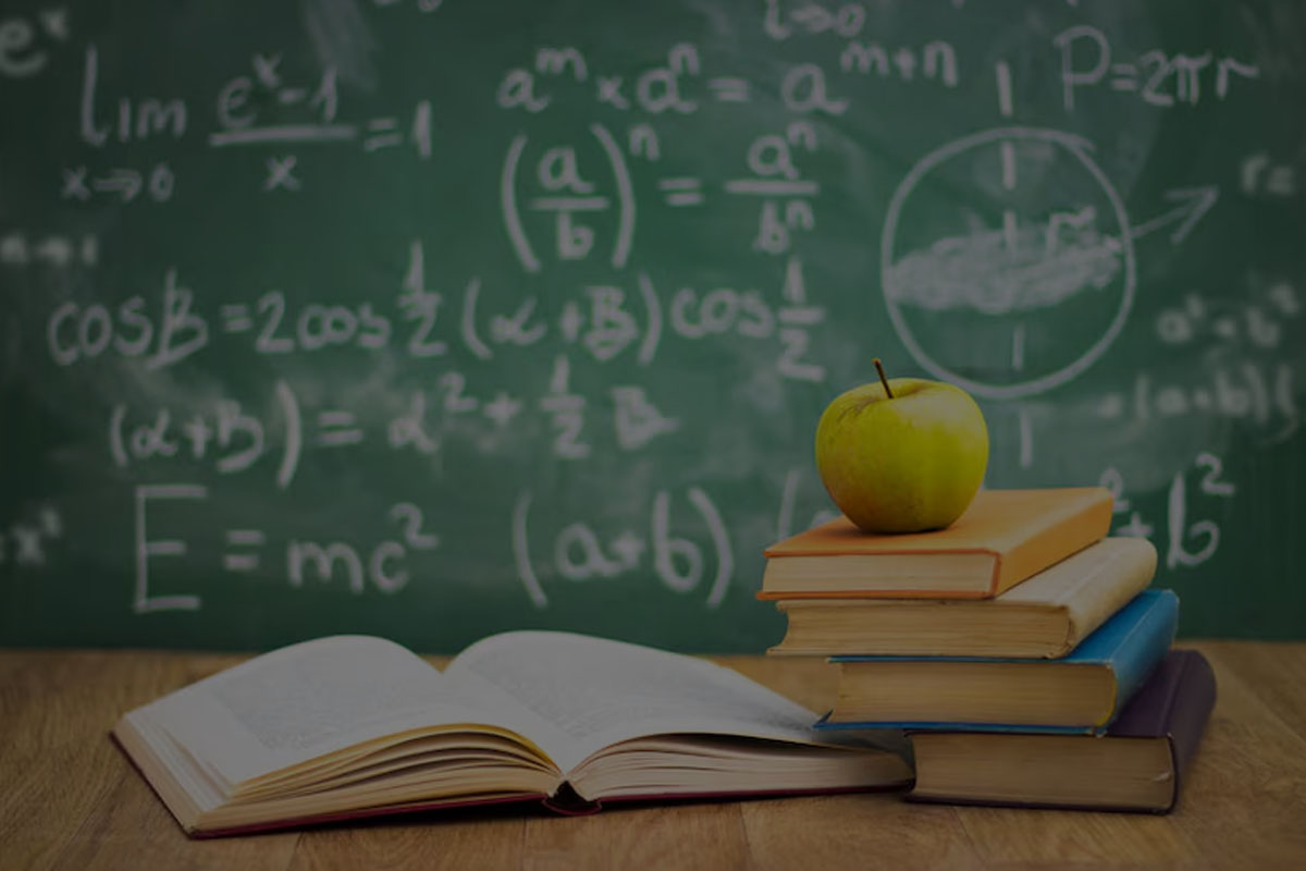 Mathematical Literacy Matric Subject